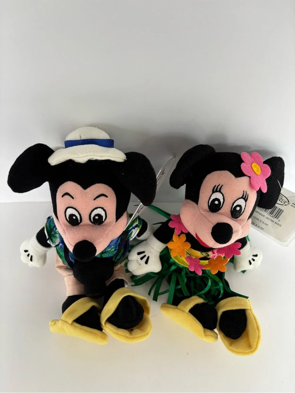 Disney aloha bring